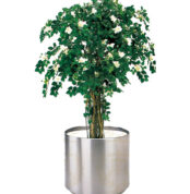 kotak tanaman untuk hotel yang bagus dan berkualitas