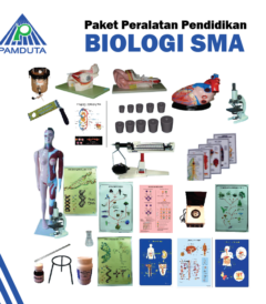 distributor alat peraga Pendidikan