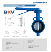Butterfly Valve Wafer Type Ductile Iron 2 Inch