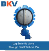 Through Shaft Without Pin Lug Type Butterfly Valve