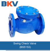 BS5153 PN16 Cast Iron Swing Check Valve