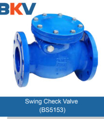 BS5153 PN16 Cast Iron Swing Check Valve
